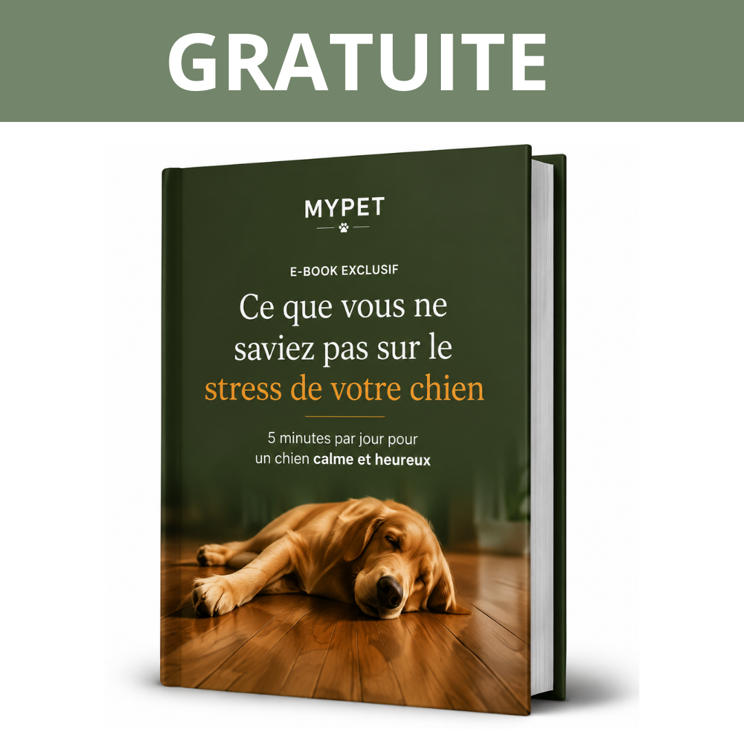 E-Book Un Chien Heureux