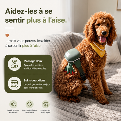 Masseur apaisant pour animaux