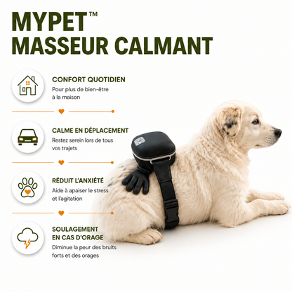 Masseur apaisant pour animaux