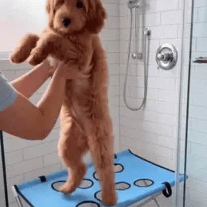 Chaisse de toilettage pour animaux